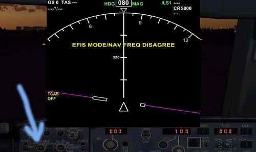 fs9 2010-05-04.jpg